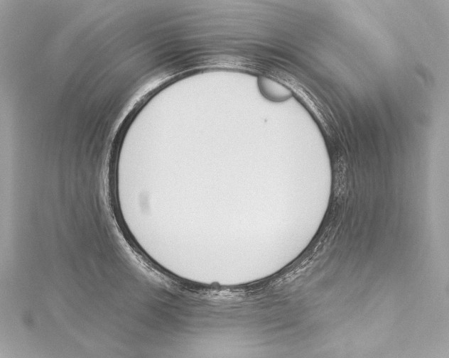 X0000115421139200912011321