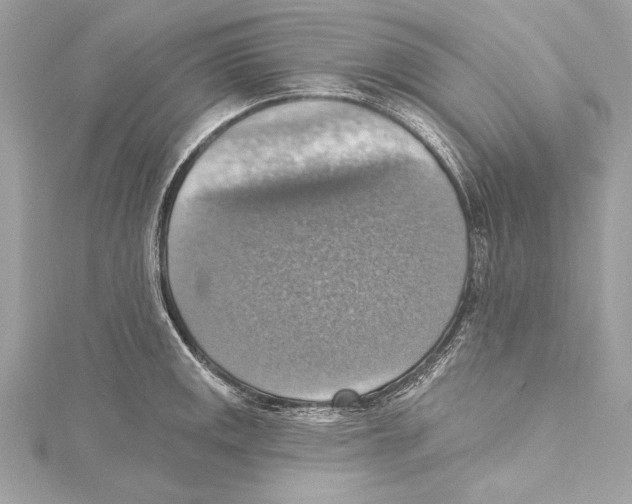 X0000115421141200912011321