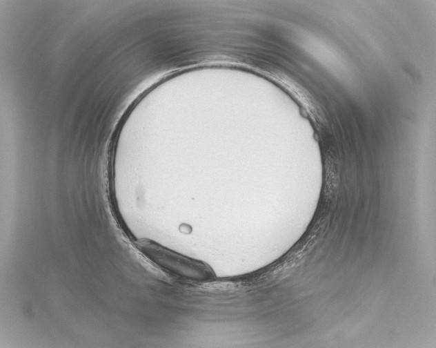 X0000115421142200912011321