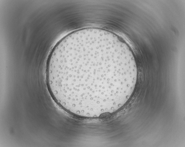 X0000115421143200912011321