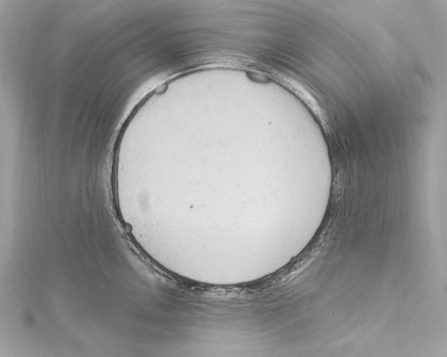 X0000115421146200912011321