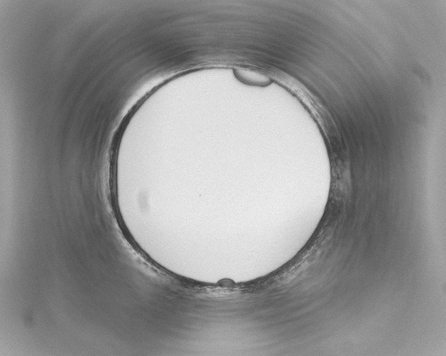 X0000115421147200912011321