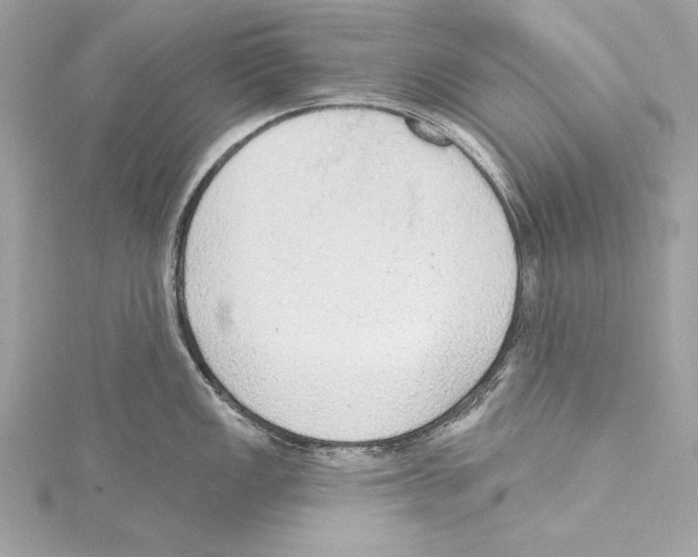 X0000115421149200912011321