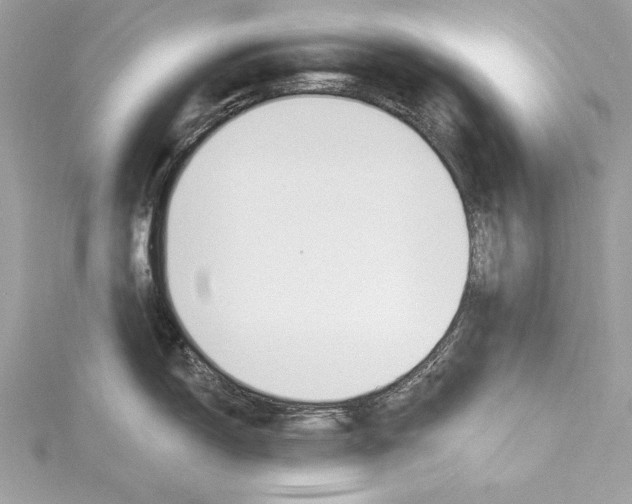 X0000115421150200912011321