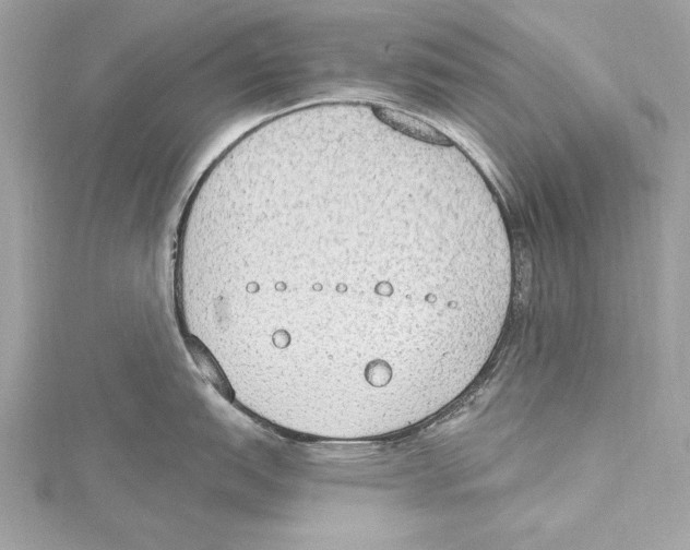 X0000115421151200912011321