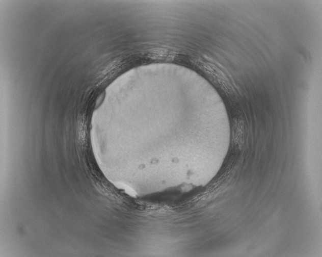 X0000115421154200912011321