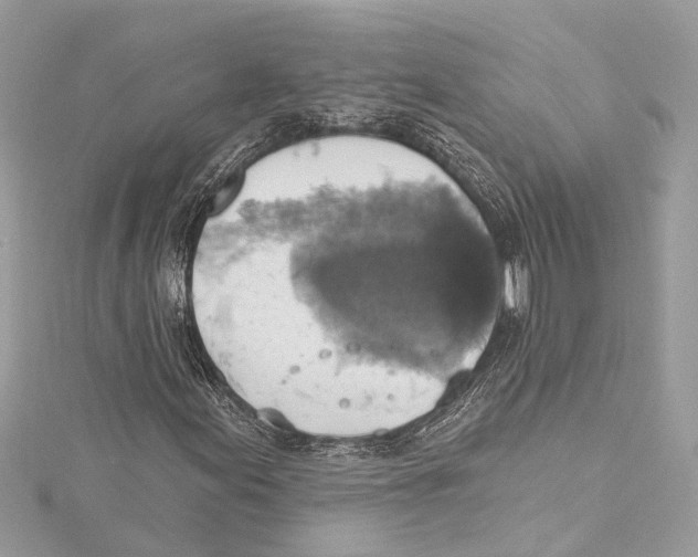 X0000115421155200912011321