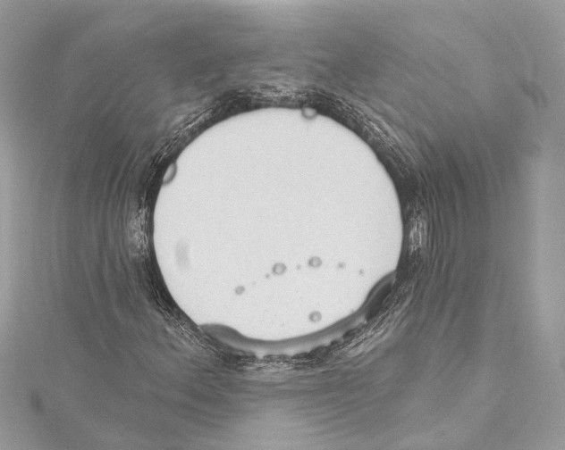 X0000115421156200912011321