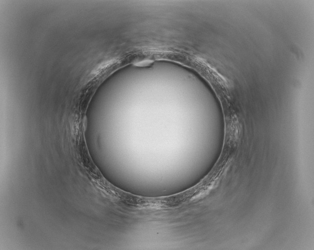 X0000115421157200912011321