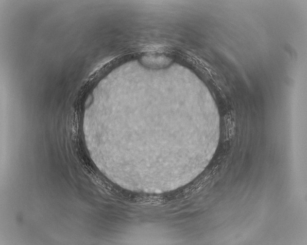 X0000115421158200912011321