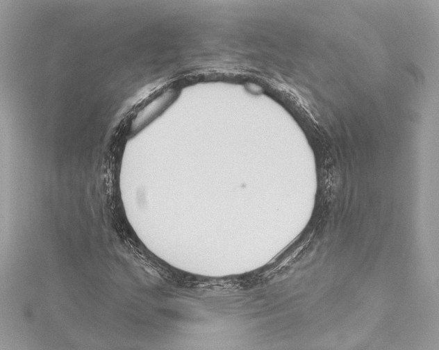 X0000115421159200912011321