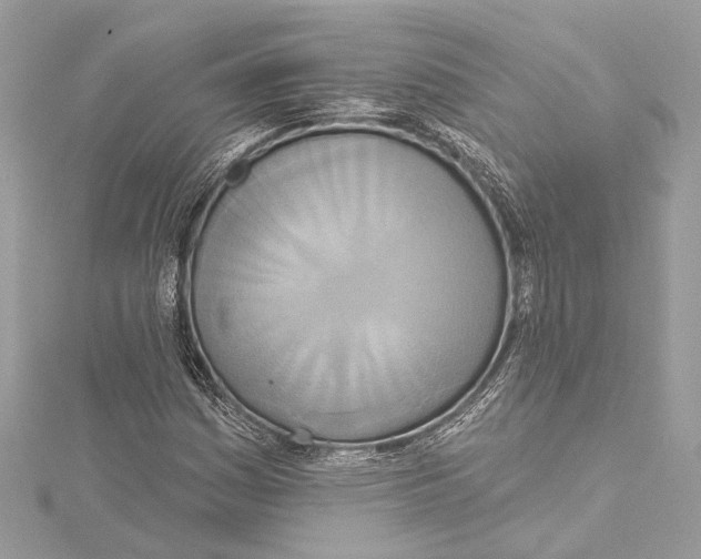 X0000115421161200912011321