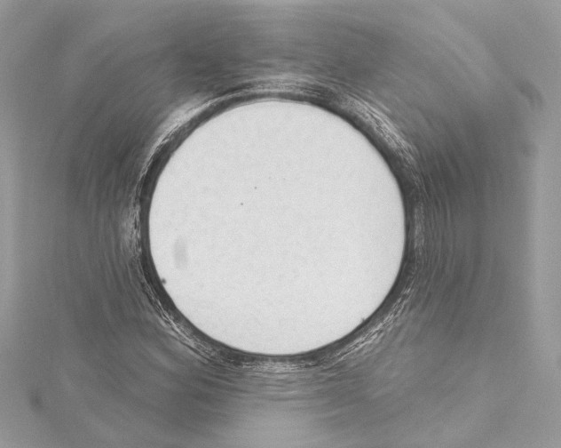 X0000115421164200912011321