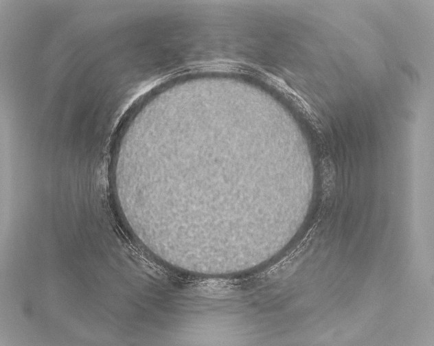 X0000115421166200912011321