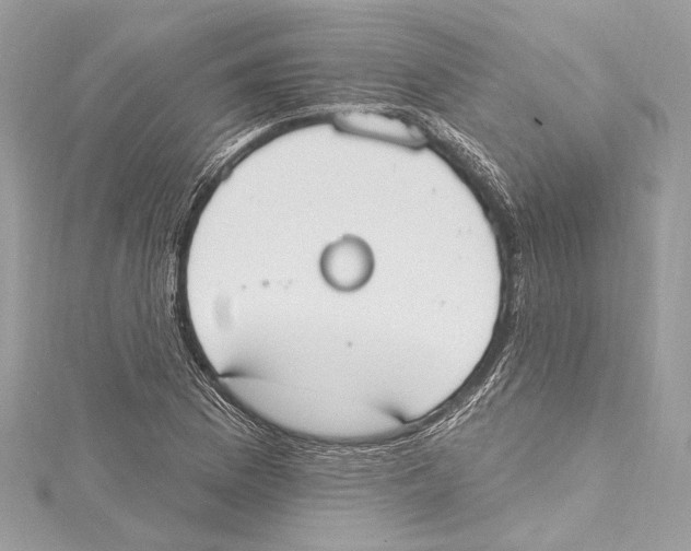 X0000115421169200912011321