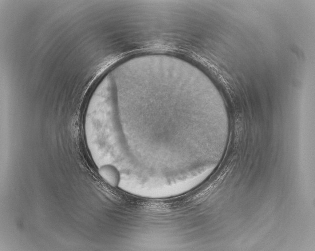 X0000115421170200912011321