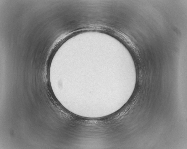 X0000115421172200912011321