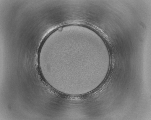 X0000115421174200912011321