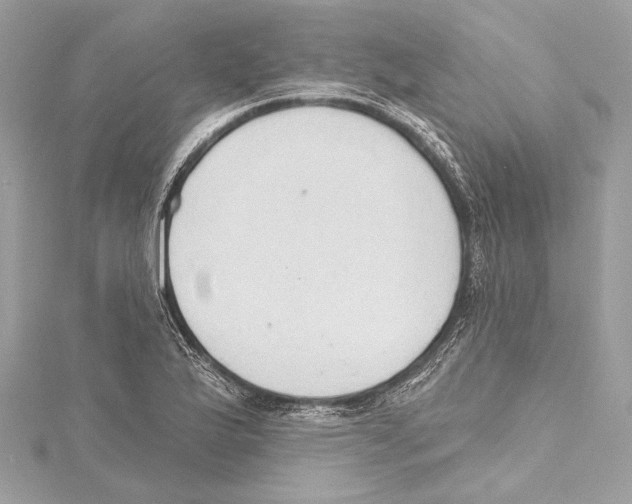 X0000115421175200912011321