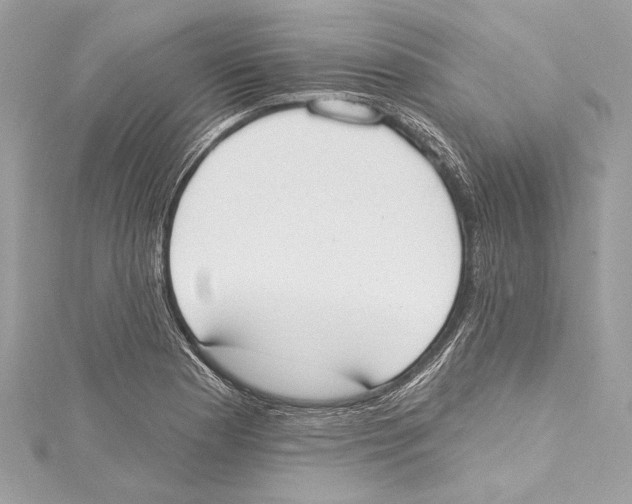 X0000115421177200912011321