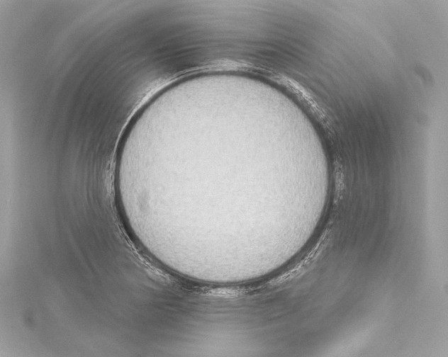 X0000115421178200912011321