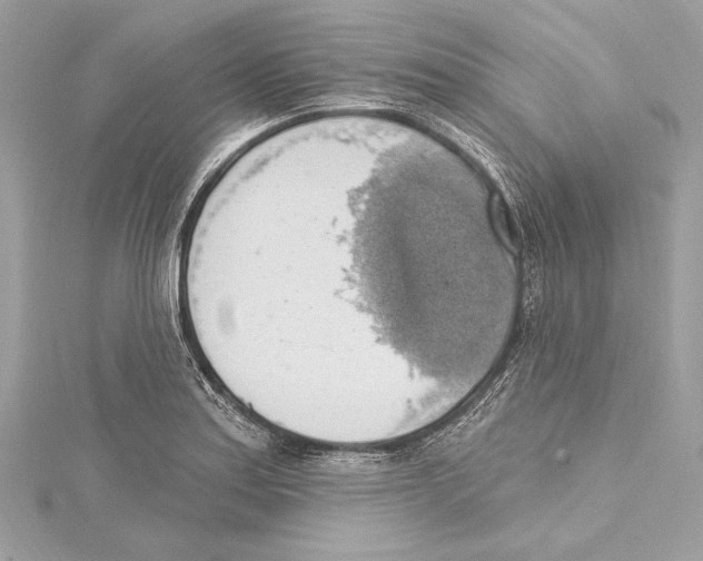 X0000115421179200912011321