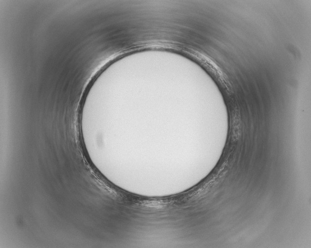 X0000115421182200912011320