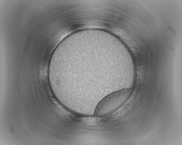 X0000115421185200912011320