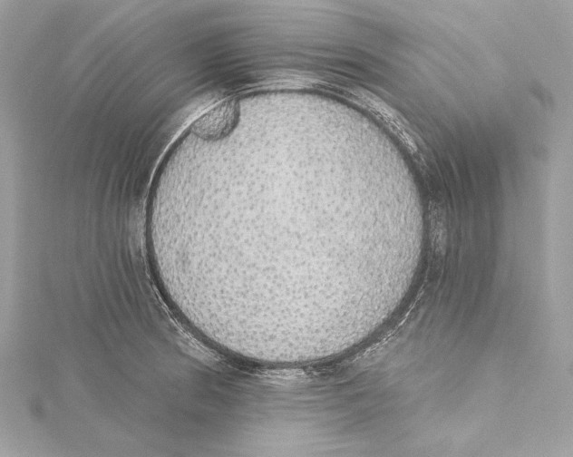 X0000115421186200912011320