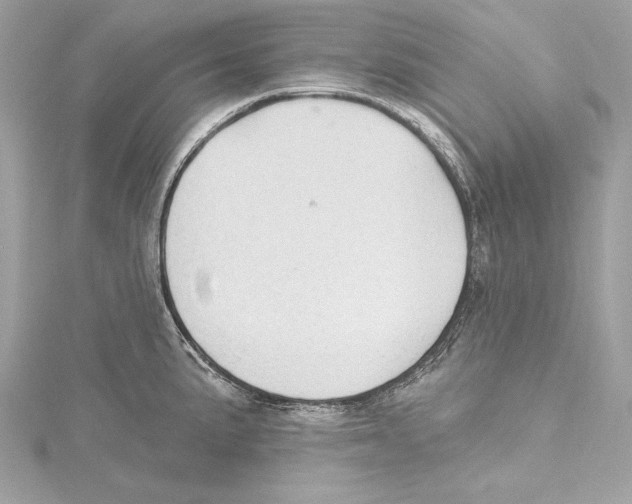 X0000115421191200912011320