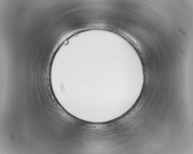 X0000115421192200912011320