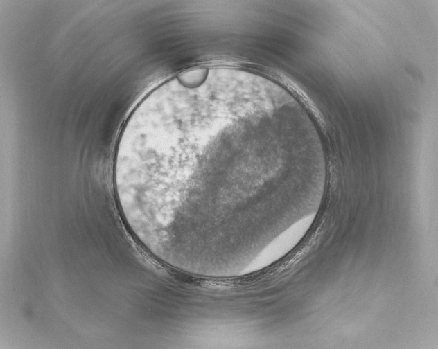 X0000115421194200912011320