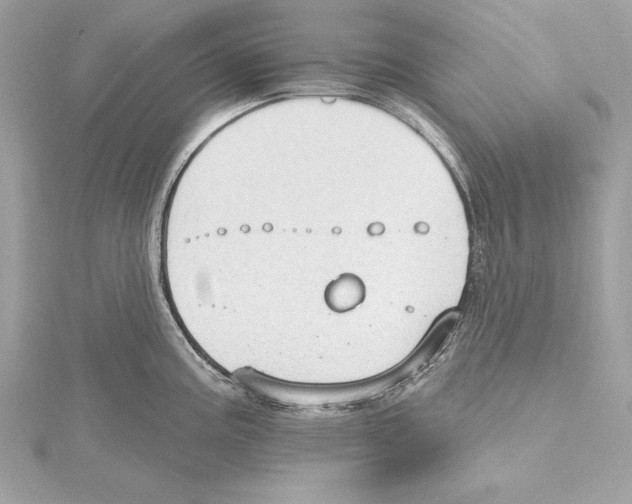 X0000115421195200912011320