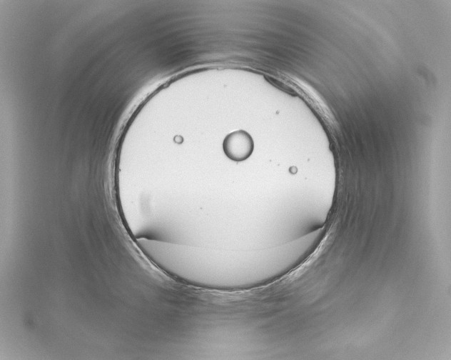 X0000115421196200912011320