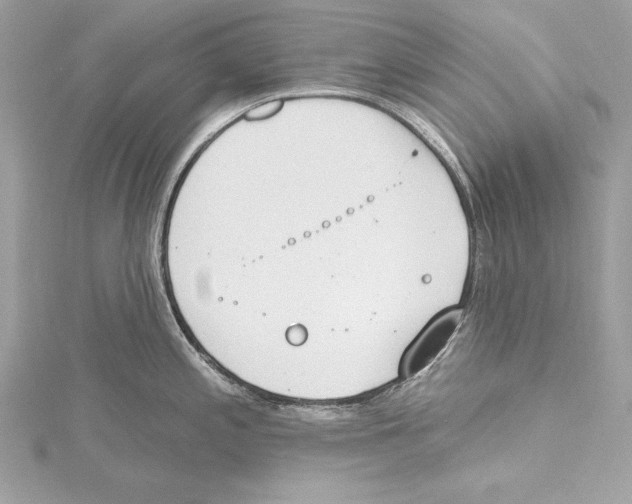 X0000115421197200912011320