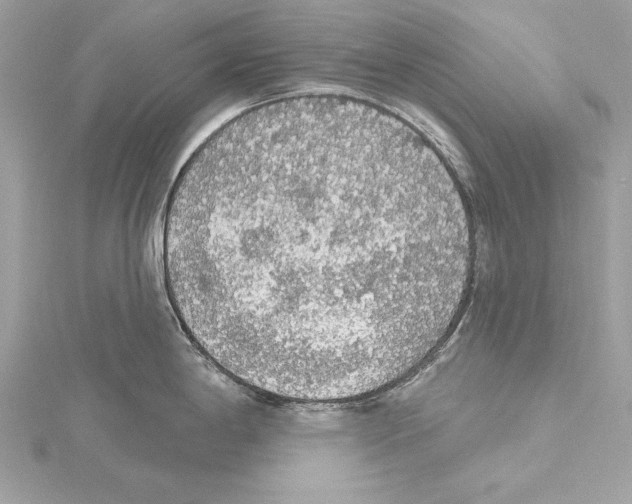 X0000115421198200912011320