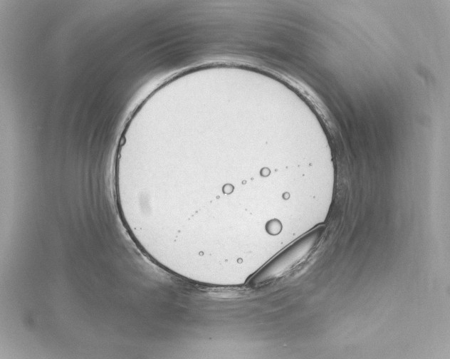 X0000115421199200912011320