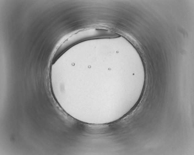 X0000115421200200912011320