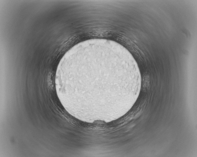 X0000115421202200912011320