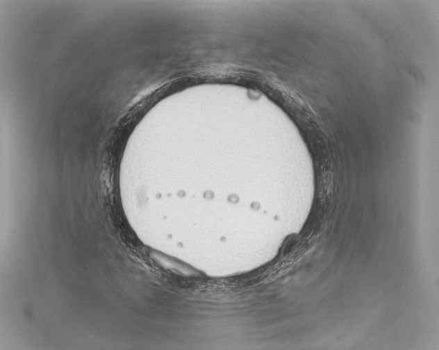 X0000115421206200912011320