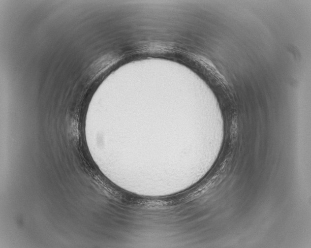 X0000115421209200912011320