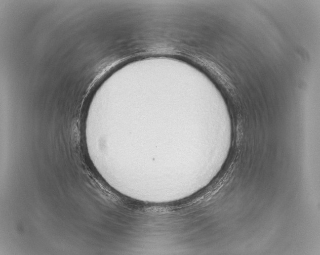 X0000115421212200912011320