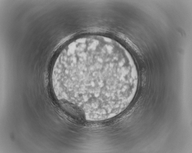 X0000115421213200912011320