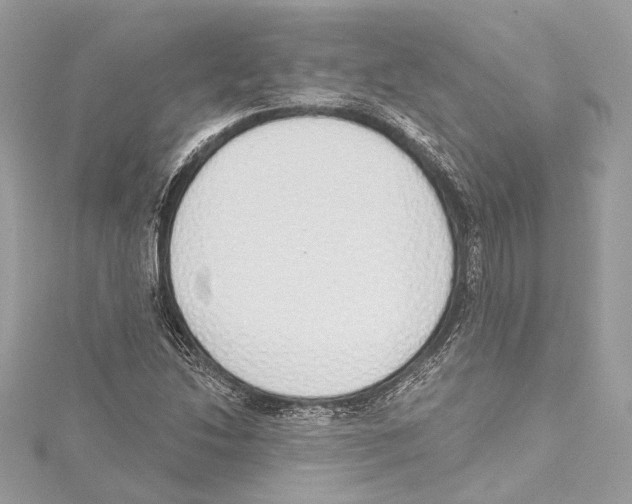 X0000115421214200912011320