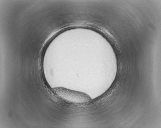 X0000115421216200912011320