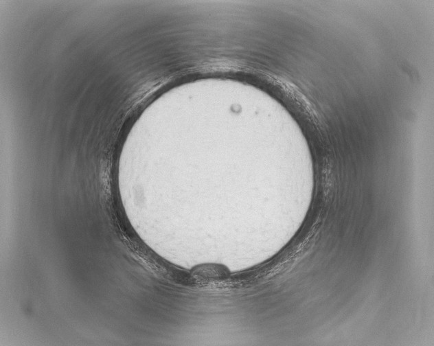 X0000115421217200912011320