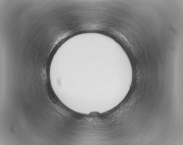 X0000115421218200912011320