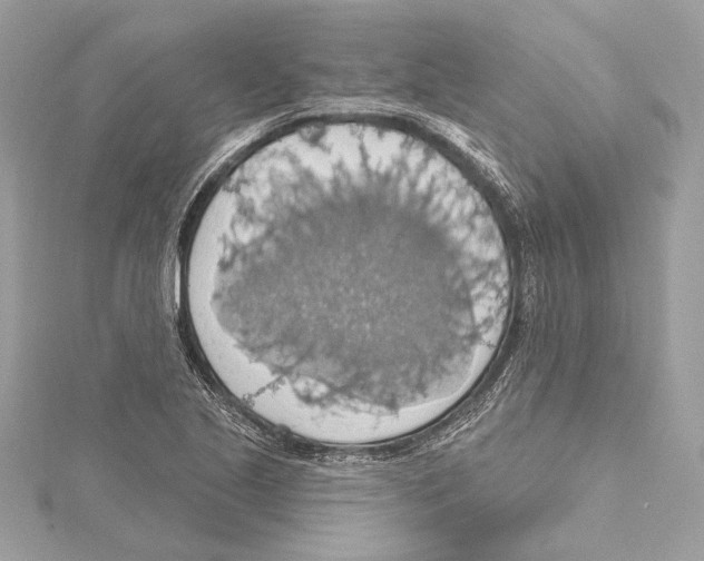 X0000115421221200912011320