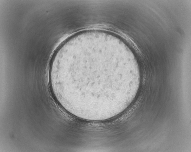 X0000115421224200912011320