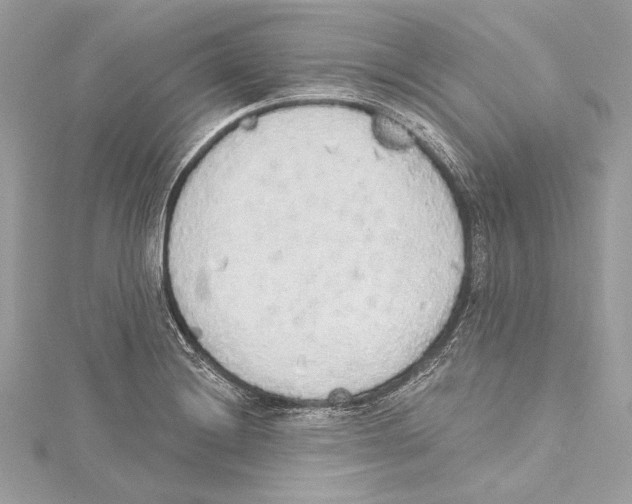 X0000115421228200912011320